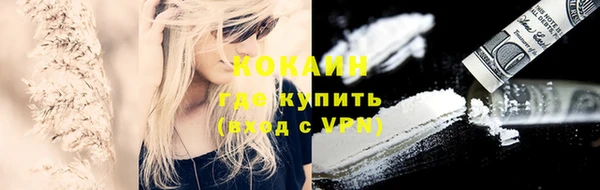 стаф Няндома