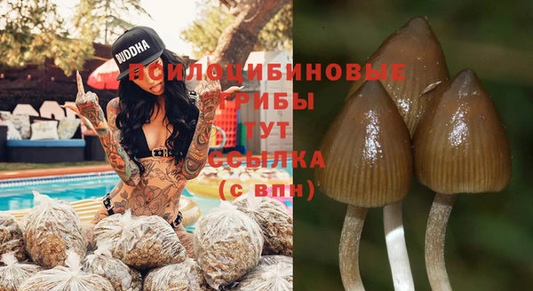 стаф Няндома