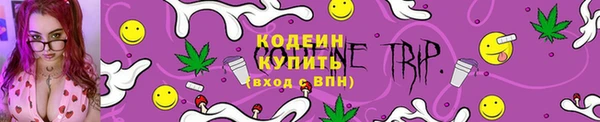 стаф Няндома