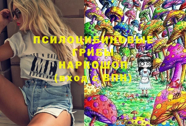 стаф Няндома