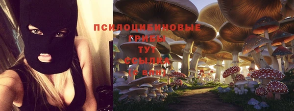 экстази Нязепетровск